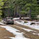 Image for article titled The 2022 Subaru Forester Wilderness Is An Off-Road Adventure Underdog